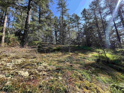 Lot 21 Sechelt Inlet Road, Sechelt, BC 