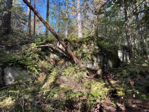 Lot 19 Tuwanek Place, Sechelt, BC 