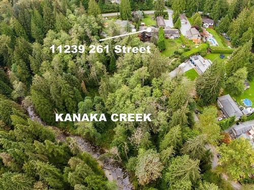 11239 261 Street, Maple Ridge, BC 