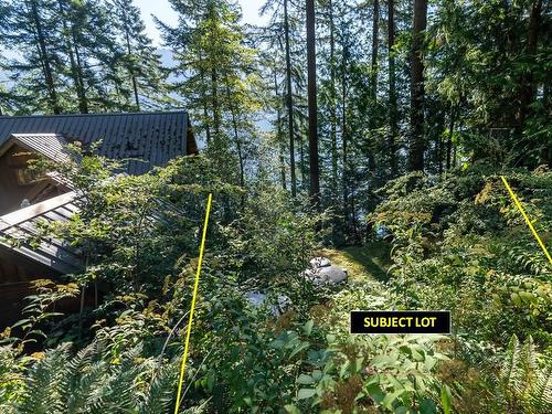 316 Sasamat Lane, North Vancouver, BC 