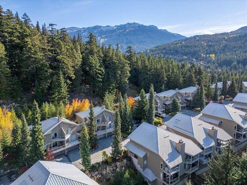 3163 St Moritz Crescent, Whistler, BC 