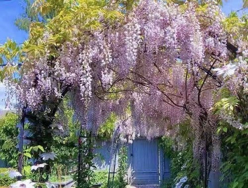 4291 9Th Avenue W, Vancouver, BC 