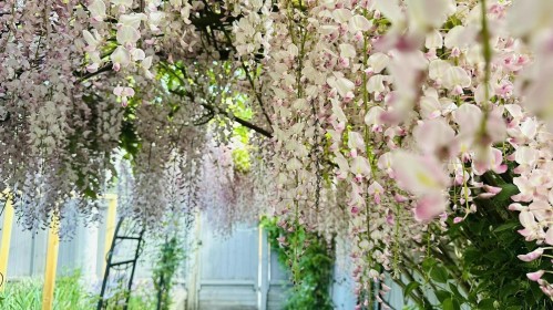 4291 9Th Avenue W, Vancouver, BC 