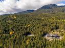 5408 Stonebridge Drive, Whistler, BC 