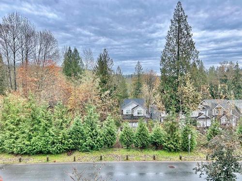 13501 Nelson Peak Drive, Maple Ridge, BC 