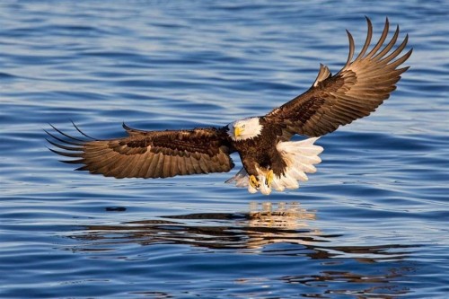 6014 Silverstone Lane, Sechelt, BC 