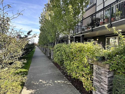 96 9680 Alexandra Road, Richmond, BC 