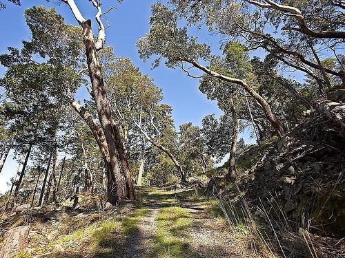 206 Narrows West Road, Salt Spring Island, BC 