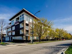 109 4080 YUKON STREET  Vancouver, BC V5Y 0L4