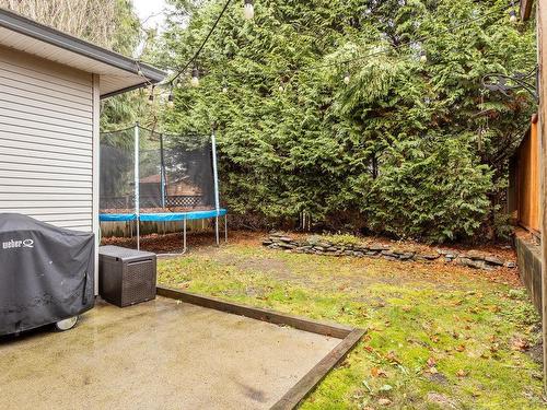 24133 102B Avenue, Maple Ridge, BC 