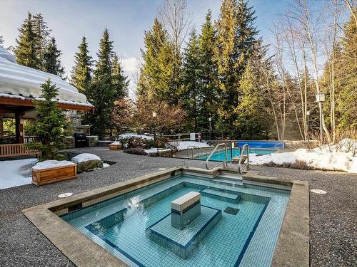 103G2 4653 Blackcomb Way, Whistler, BC 