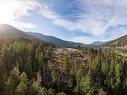 9366 Wedgemount Plateau Drive, Whistler, BC 