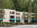 5G 2561 Tricouni Place, Whistler, BC 