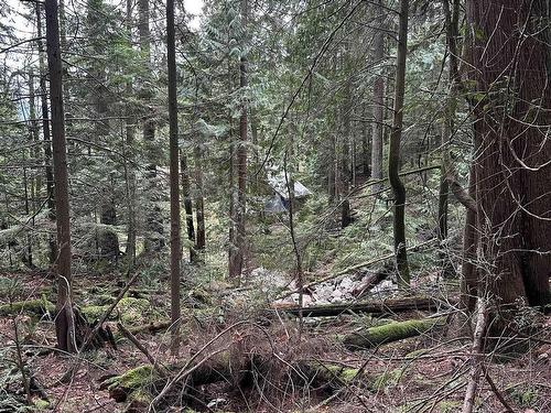 Lot 2 Indian River Drive, North Vancouver, BC 