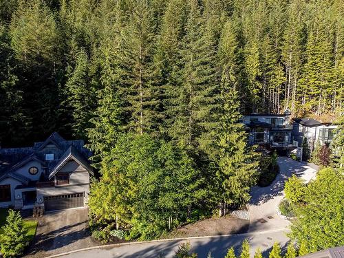 1550 Tynebridge Lane, Whistler, BC 