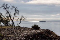 1860 Lighthouse Lane  Bowen Island, BC V0N 1G2