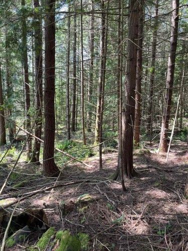 Dl 1312 Sullivan Road, Roberts Creek, BC 