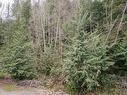 Lot 66 Greentree Road, Egmont, BC 