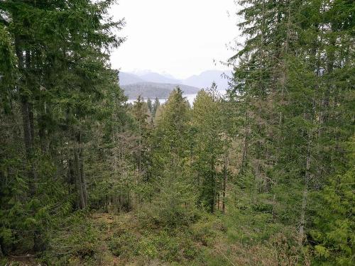 Lot 66 Greentree Road, Egmont, BC 