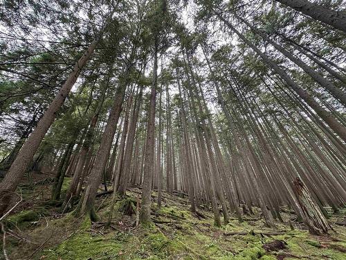 Lot 15 Indian River Drive, North Vancouver, BC 