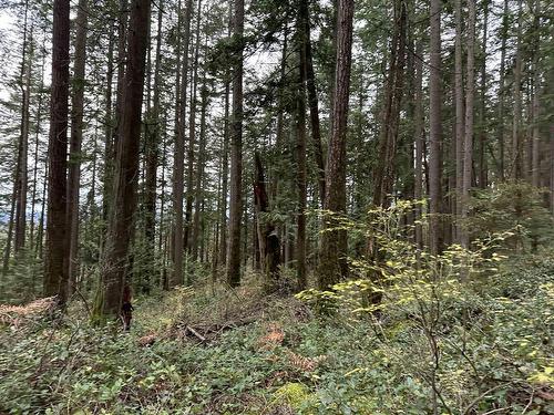 Lot 15 Indian River Drive, North Vancouver, BC 