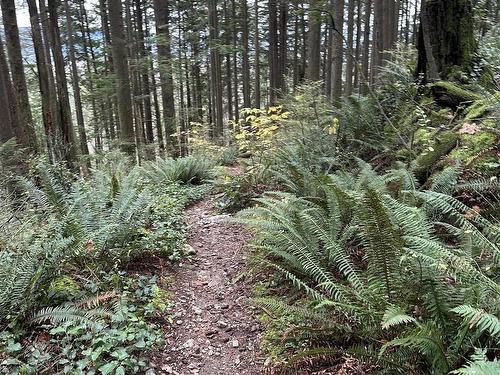 Lot 15 Indian River Drive, North Vancouver, BC 