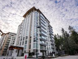 702 2375 EMERY COURT COURT  North Vancouver, BC V0V 0V0