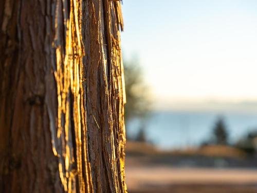 Lot 5 Salal Road, Sechelt, BC 