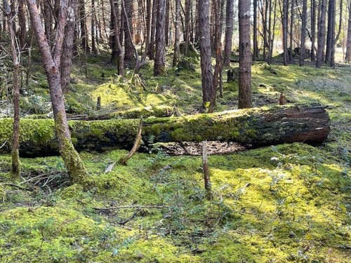 1840 Seymour Road, Gabriola Island, BC 