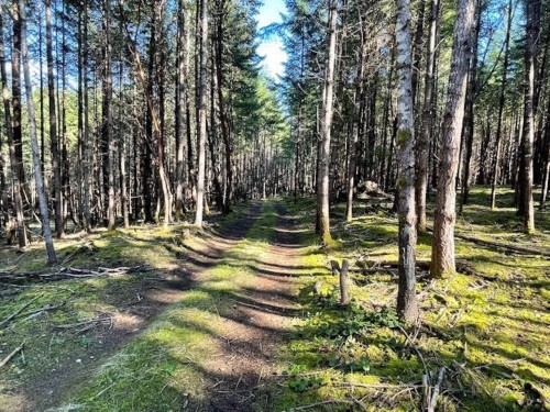 1840 Seymour Road, Gabriola Island, BC 