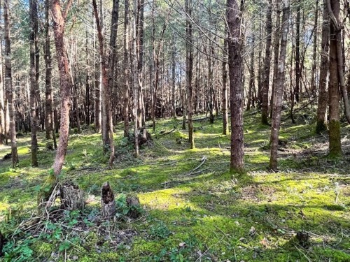 1840 Seymour Road, Gabriola Island, BC 