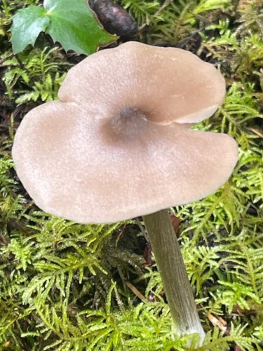 1840 Seymour Road, Gabriola Island, BC 