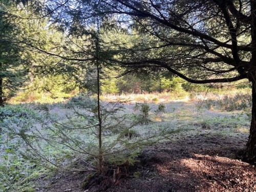 1840 Seymour Road, Gabriola Island, BC 