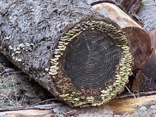 1840 Seymour Road, Gabriola Island, BC 