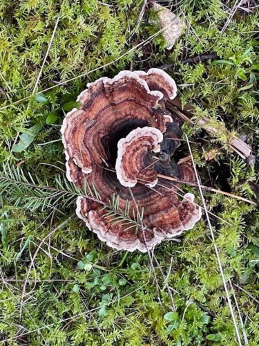 1840 Seymour Road, Gabriola Island, BC 