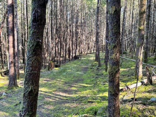 1840 Seymour Road, Gabriola Island, BC 