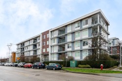 105-10011 River Drive  Richmond, BC V6X 0N2
