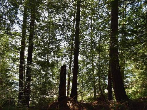 37 Lots Witherby Beach Road, Gibsons, BC 