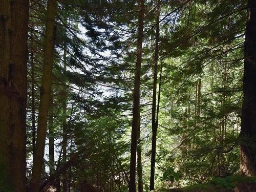 37 Lots Witherby Beach Road, Gibsons, BC 