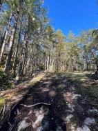 LOT 2-13685 Lee Road  Garden Bay, BC V0N 1S1