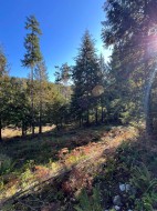 LOT 4-13685 Lee Road  Garden Bay, BC V0N 1S1