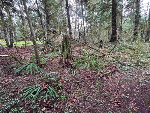 2000 Sunnyside Road, Port Moody, BC 