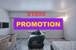 104-1540 Haro Street  Vancouver, BC V6G 1G6