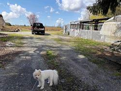 12853 Harris Road  Pitt Meadows, BC V3Y 2S1