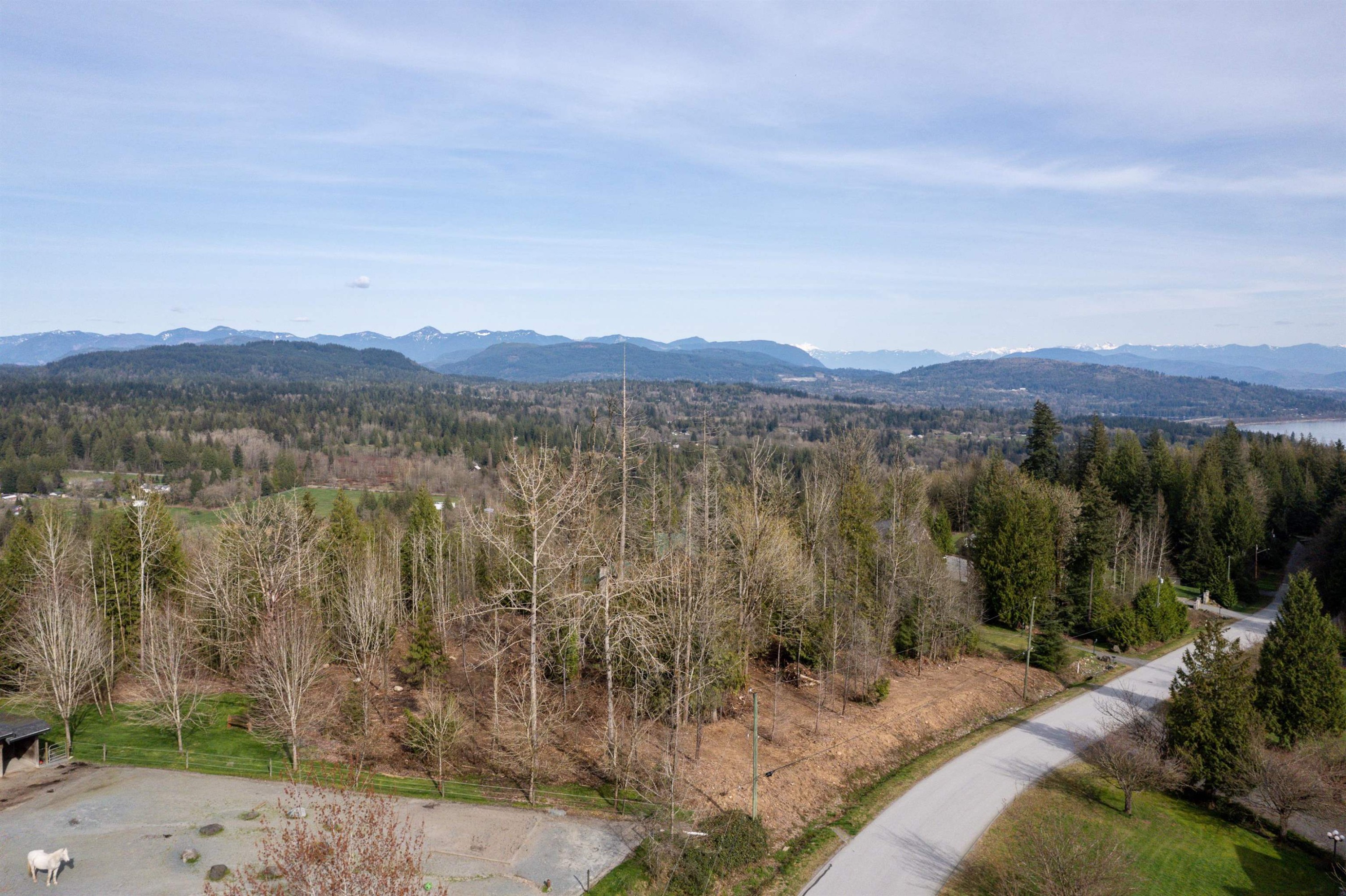 10230 Rolley Crescent, Maple Ridge, BC