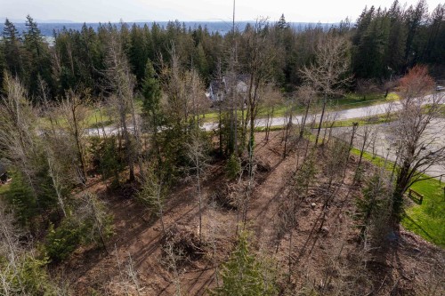 10230 Rolley Crescent, Maple Ridge, BC 