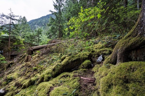 11 East Of Croker Island, North Vancouver, BC 