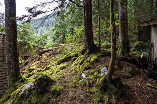 11 East Of Croker Island, North Vancouver, BC 