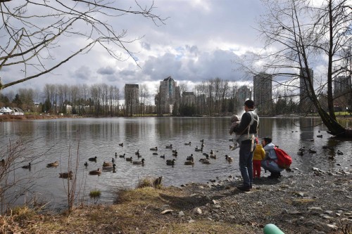 1105-1180 Pinetree Way, Coquitlam, BC 