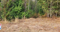 12350 270a Street  Maple Ridge, BC V2W 1C2